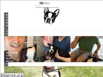 bostonterriersociety.com