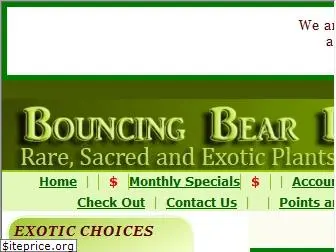 bouncingbearbotanicals.com