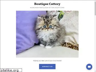 boutiquecattery.com