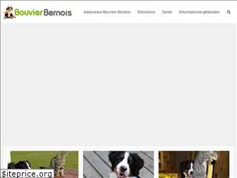 bouvier-bernois.com