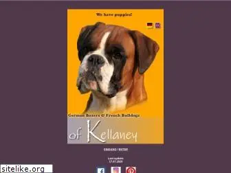 boxerkellaney.com