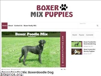 boxermixpuppies.com