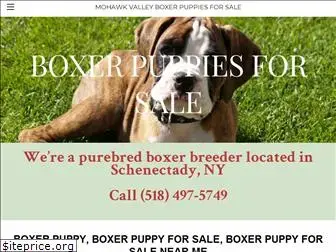boxerpuppies.company.com