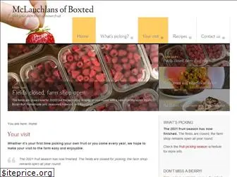boxtedberries.com