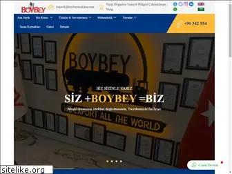 boybeymakina.com