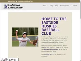 bradpetersonbaseball.com