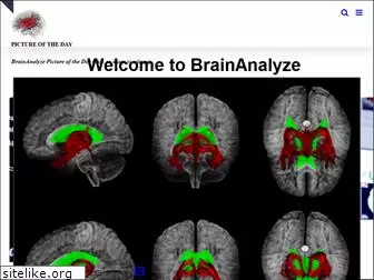 brainanalyze.com