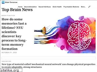 brainhackernews.com