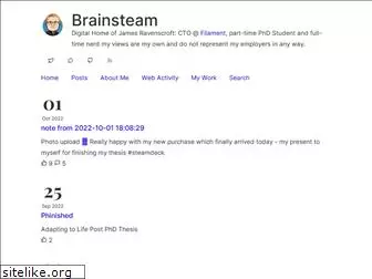 brainsteam.co.uk