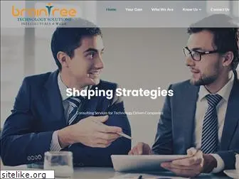 braintreeus.com