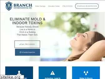 branchenvironmental.com