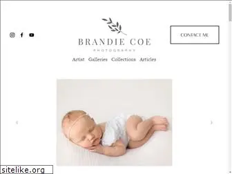 brandiecoephotography.com