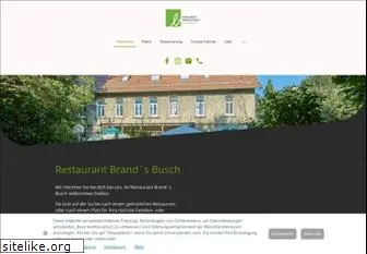 brands-busch.info