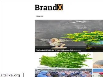brandx.vn