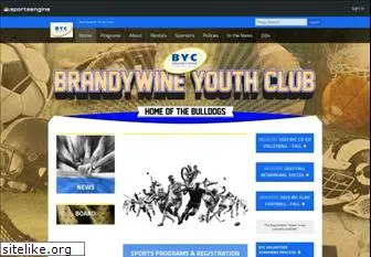 brandywineyouthclub.com