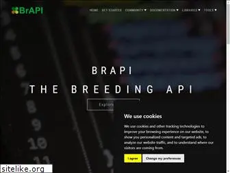 brapi.org