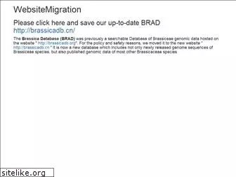brassicadb.org