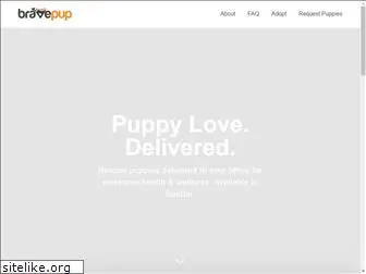 bravepup.org