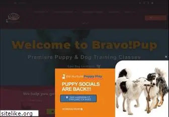 bravopup.com