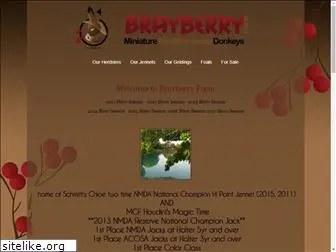 brayberry.net