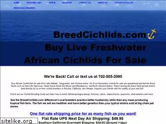 breedcichlids.com