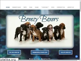 breezyboxers.com