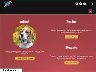 brewbeagles.org