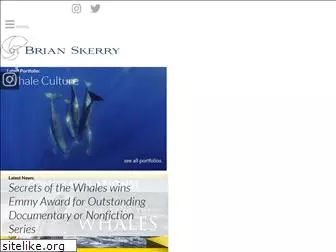 brianskerry.com