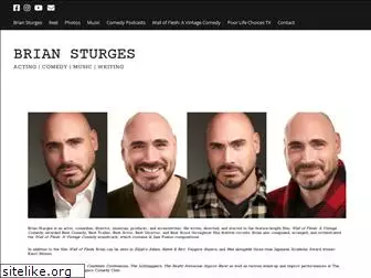 briansturges.com