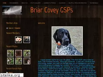 briarcoveygsp.com