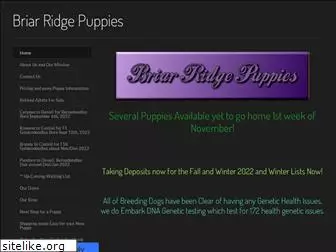 briarridgepuppies.com