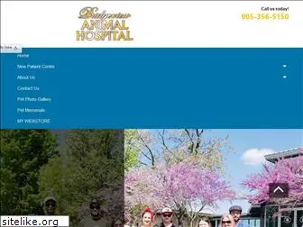 bridgeviewanimalhospital.com