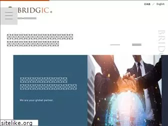 bridgic.com