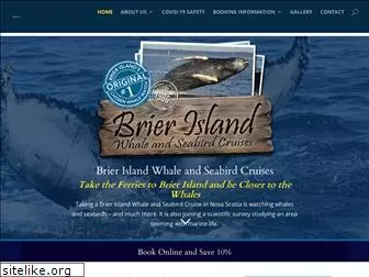 brierislandwhalewatch.com