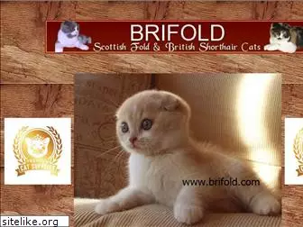 brifold.com
