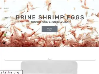 brineshrimp.com.au