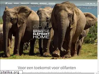 bring-the-elephant-home.nl