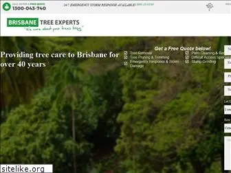 brisbanetreeexperts.com.au