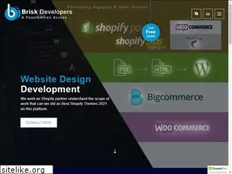 briskdevelopers.com