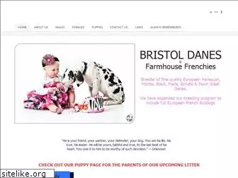 bristoldanes.com