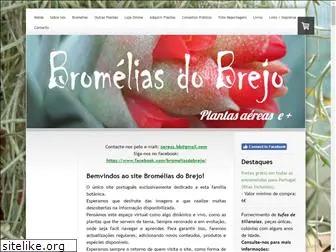 bromeliasdobrejo.com