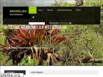 bromelien-westermann.eu