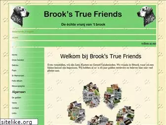 brookstruefriends.nl