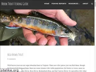 brooktroutfishingguide.com