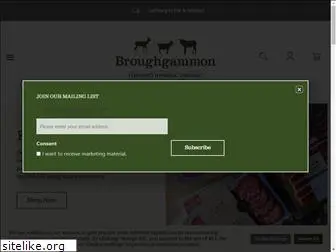 broughgammon.com