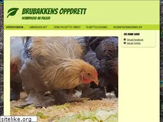 brubakkenoppdrett.com