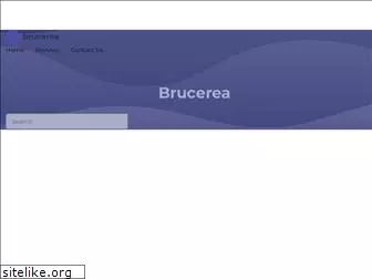 brucerea.com