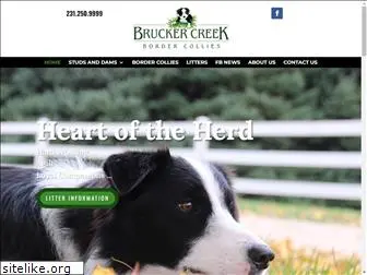 bruckercreekbordercollies.com