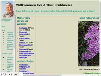 bruehlmeier.info