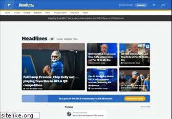 bruinblitz.com